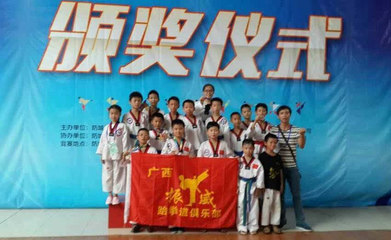 振奮人心,聲威名揚 記恭城振威跆拳道館參賽 農產品網, -新農網新聞在線