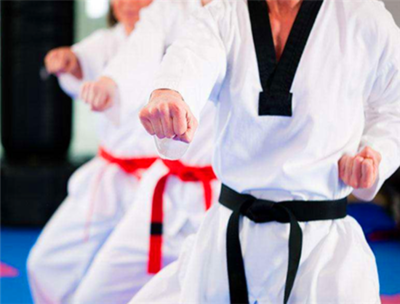 卓越跆拳道館--以人為本的從業態度力求向客戶提供好的產品