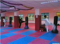 找上海跆拳道/散打/太極拳-上海瑜伽/肚皮舞的上海跆拳道館價格、圖片、詳情,上一比多_一比多產(chǎn)品庫