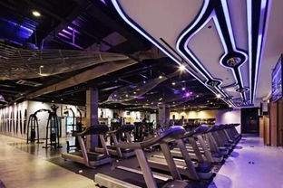 小小跆拳道,玩轉(zhuǎn)星泓七彩周末