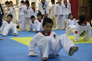 圖 光谷跆拳道館 武漢文體培訓