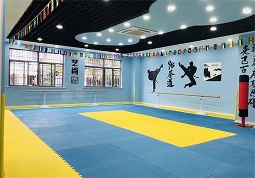 黃金跆拳道館加盟 加盟費 招商代理條件 加盟電話 中教招商網