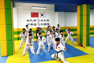 周口黑帶武英跆拳道館又搞事情 88元秒殺精品課程一個月,再送跆拳道服......