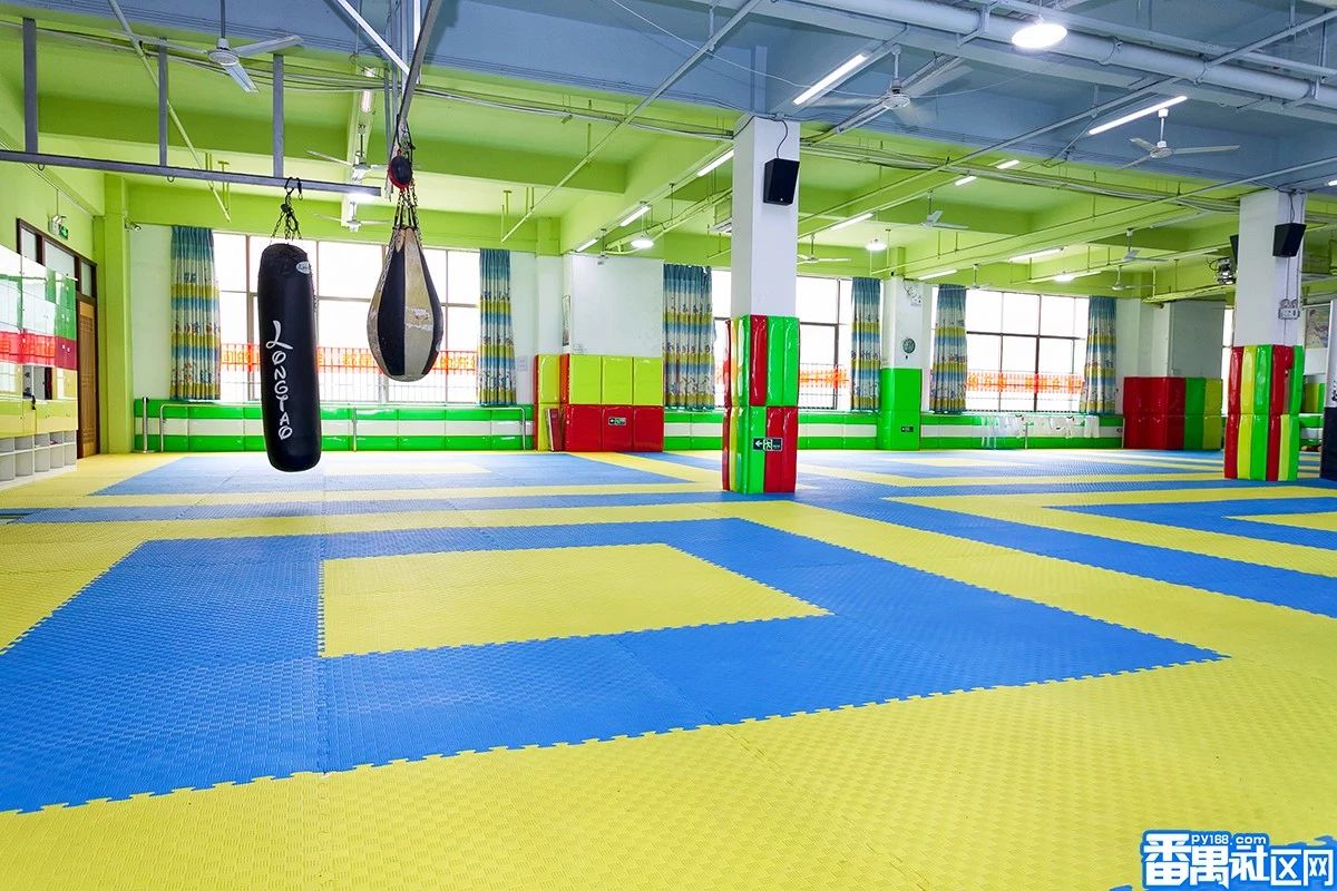 開封跆拳道院創威跆拳道館暑期招生開始啦!