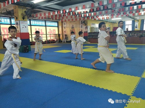 儋州館 跆拳道是一種責任和態度