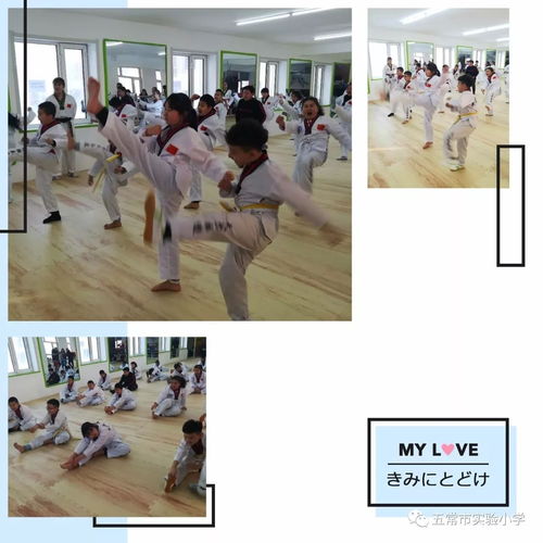 五年三班 強身健體 跆拳風范 走進天鴻跆拳道館