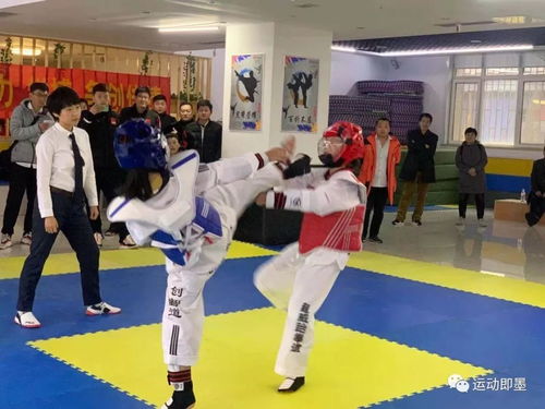 300余名選手決戰即墨道館 2019年即墨區中小學生運動會跆拳道比賽圓滿結束