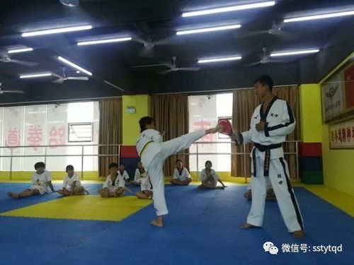 白沙館 素質教育跆拳道