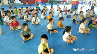 瓊海館 跆拳道用品的踢靶