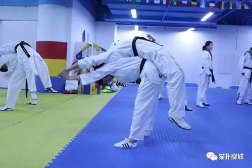 聊城跆拳道業內脊梁 新國際跆拳道館 壕送免費體驗課程 5.28日榮譽2周年慶,全國冠軍 世界冠軍將空降聊城