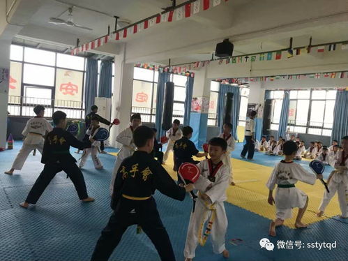 定安館 跆拳道,賦予孩子的四大財富