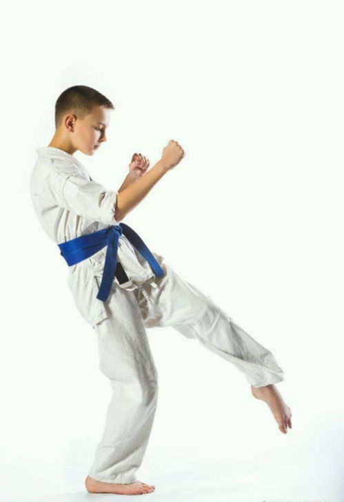 萬達(dá)商場內(nèi)武館和跆拳道館人員發(fā)生沖突 網(wǎng)友 看來跆拳道不行啊