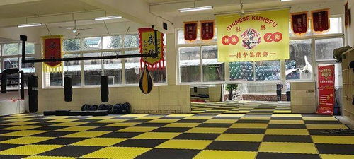 桂林這家跆拳道館是要搞大事 竟然還能這么玩...