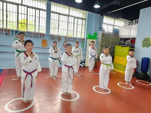 回音壁 | 想學(xué)武術(shù)？看這里 跆拳道館入門指南