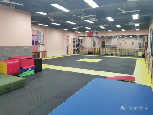 重磅消息 慶元跆拳道館曝出驚人內(nèi)幕