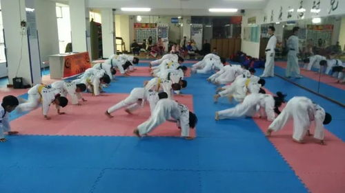 柏塘跆拳道館588元暑假班末班車，報課即送250元服裝