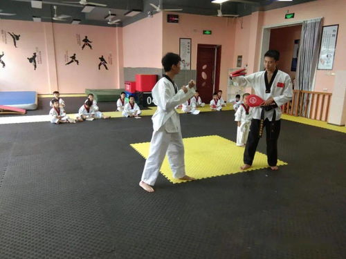 慶元某跆拳道館被曝長期違規教學，安全亂象觸目驚心