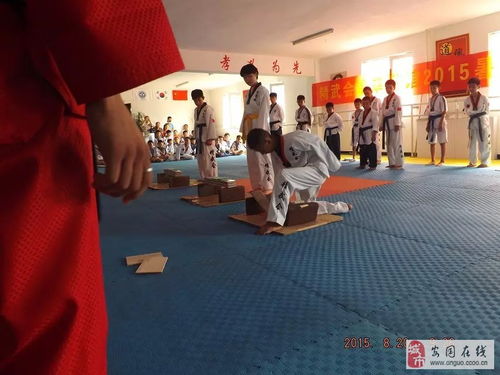 精武會跆拳道館 傳承武道精神，塑造健康體魄——常年招生進(jìn)行中