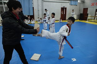 蒙城韓泰跆拳道館 傳承武道精神，塑造卓越品格