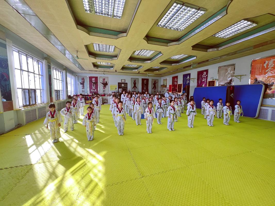 陽光跆拳道2025年考級(jí)圓滿成功 汗水與榮耀交織的跆拳道館現(xiàn)場(chǎng)