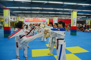 登仙嶺社區攜手勝世跆拳道館助力‘三市一區’創建工作匯報演出圓滿舉行