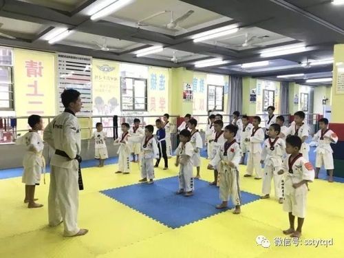 陵水館跆拳道賽記 以道為階，鍛造更優秀的自己